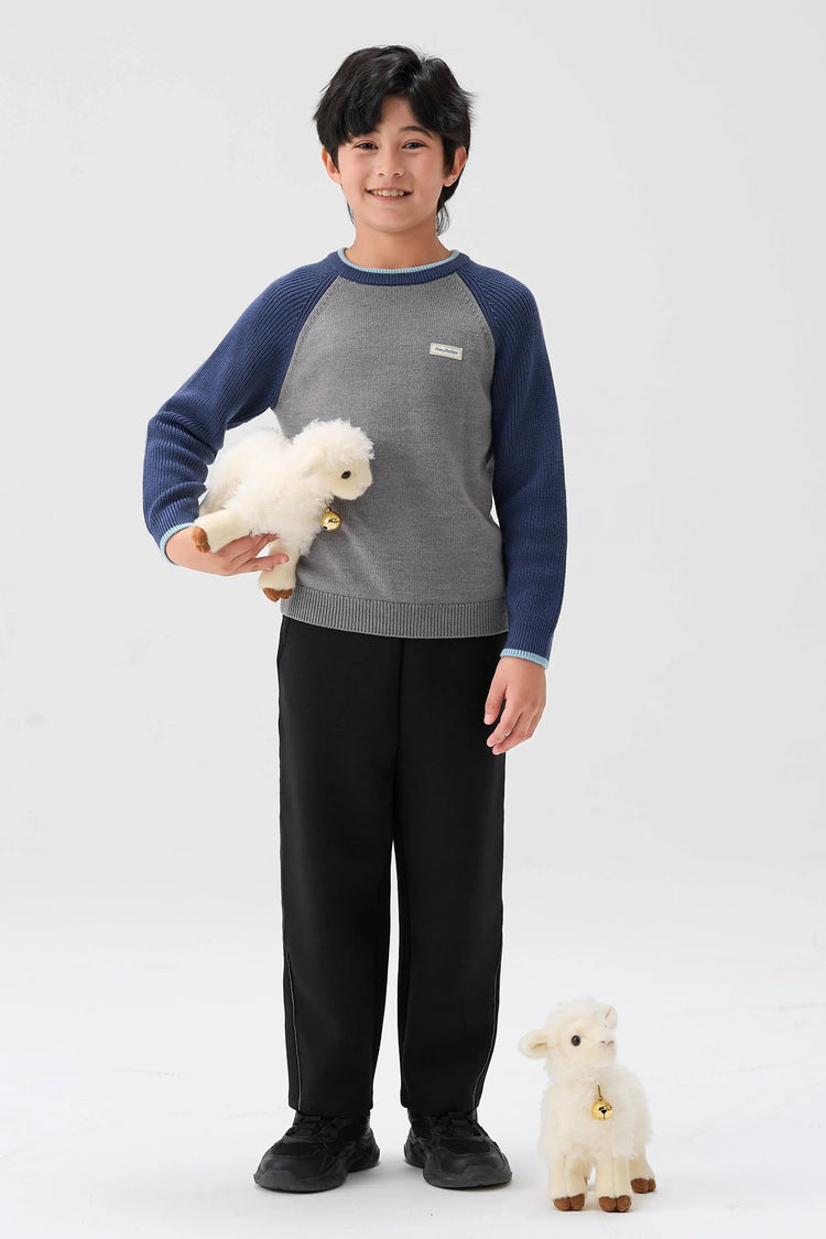 Ultra-Soft Merino Wool Sweater - Ash Gray