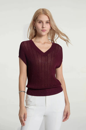 Women’s Sparkle Ribbed Knit V-Neck Top - Merlot