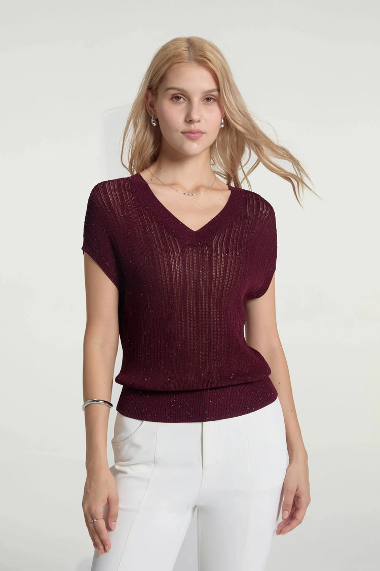 Women’s Sparkle Ribbed Knit V-Neck Top - Merlot