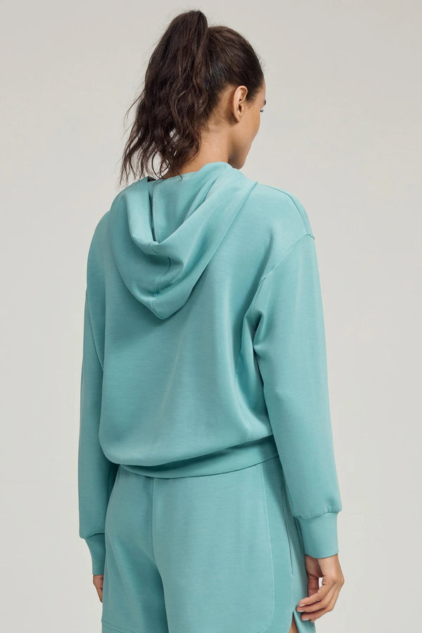 Back view of a seafoam blue hoodie with a relaxed silhouette and refined finish